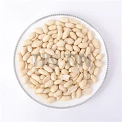 Sâmburi de arahide albite