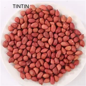 Sâmburi de arahide cu piele roșie chinezească de vânzare fierbinte