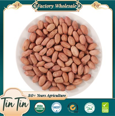 Sâmburi de arahide de înaltă calitate