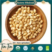 Nuclee de arahide BLANCHED 25/29