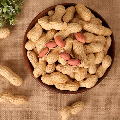 Vânz cu ridicata alune prăjite chinezești sănătoase și delicioase în coajă